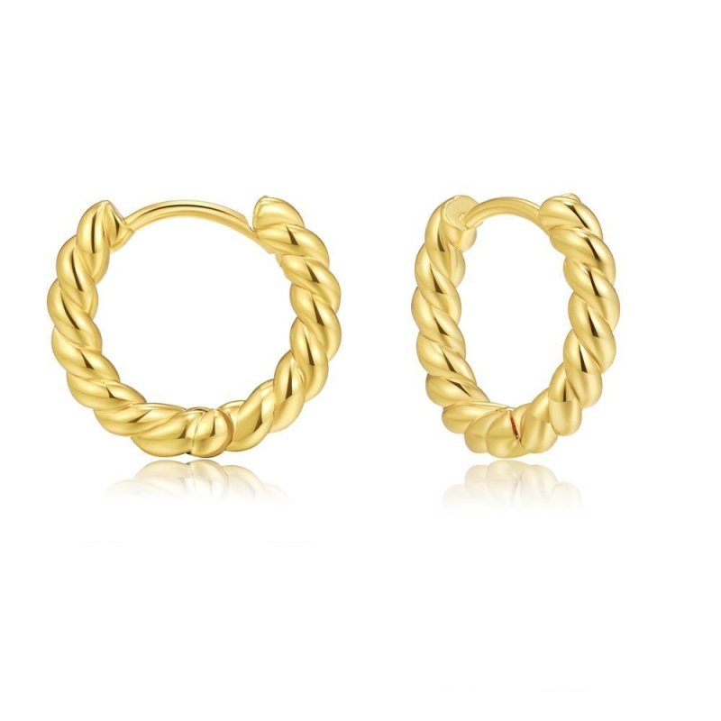 Europe And The United States New C-shaped Twist Earrings Fashion Personality Design Sense Of Earrings Ins Wind Trend Gold Earrings Earrings Ear Buckle-Jewearrings