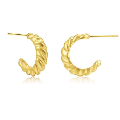 Europe And The United States New C-shaped Twist Earrings Fashion Personality Design Sense Of Earrings Ins Wind Trend Gold Earrings Earrings Ear Buckle-Jewearrings