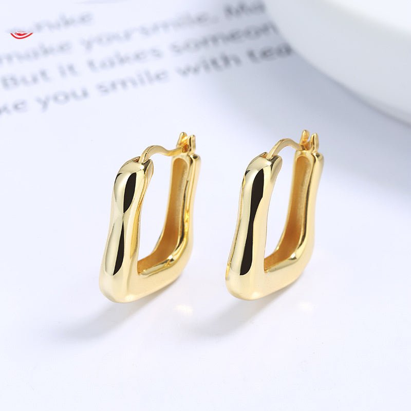 European And American Frosty Personality Gold Earrings Exaggerated-Jewearrings