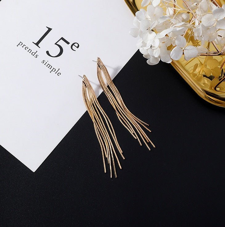 European and American popular personality exaggerated metal wind geometric earrings long tassel earrings gold earrings-Jewearrings