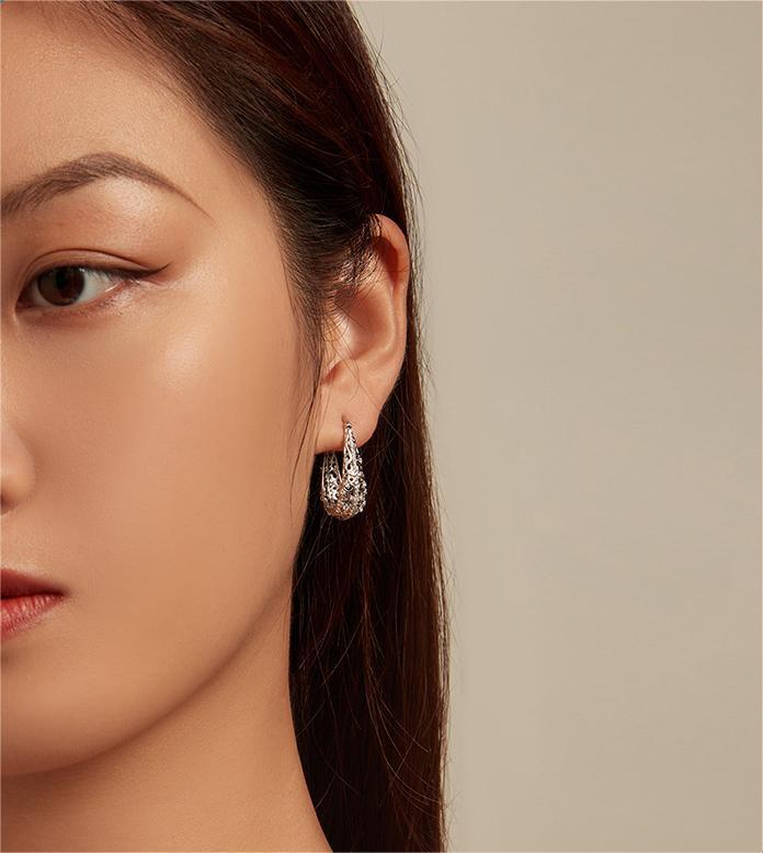 Exquisite White Gold Plated Pattern Ear Ring Female British Retro Luxury Style S925 Silver Earrings Eardrops-Jewearrings