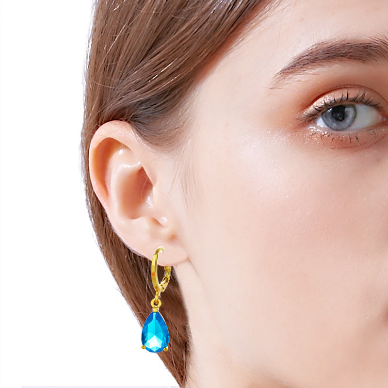 Women's 24K Gold-plated Zircon Earrings-Jewearrings