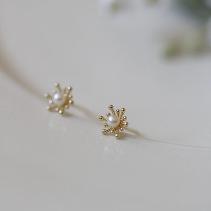 S925 Sterling Silver Plated 14K Gold Earrings-Jewearrings