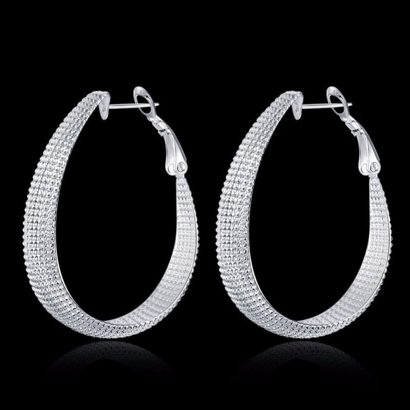 Fashion Creative Frosted Face Large Hoop Earrings-Jewearrings