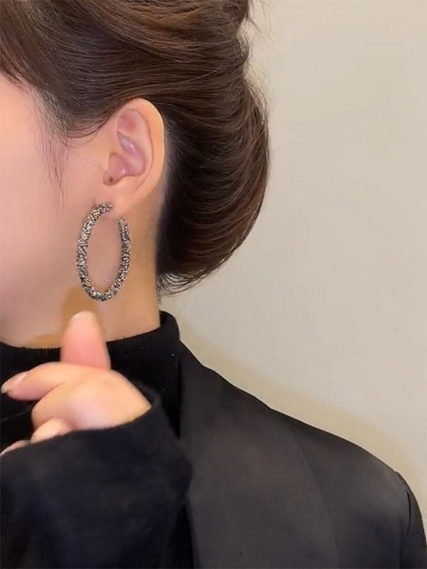 Fashion Highlight Light Luxury Hoop Earrings-Jewearrings