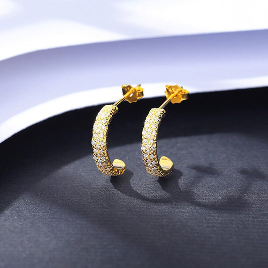 Fashion Micro Inlay Full Diamond S925 Silver Stud Earrings-Jewearrings