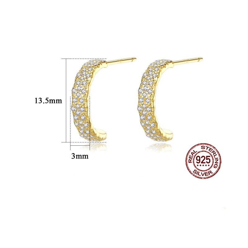 Fashion Micro Inlay Full Diamond S925 Silver Stud Earrings-Jewearrings