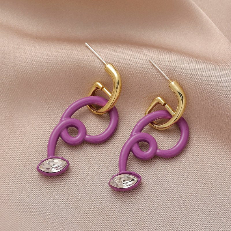 Fashion Personality Acrylic Purple Spray Paint Spring Line Rattan Earrings Trend Retro Simple Earrings-Jewearrings