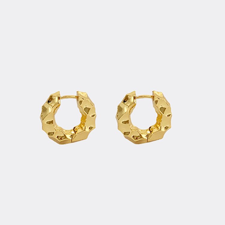 Fashion Personality European And American Hoop Earrings-Jewearrings