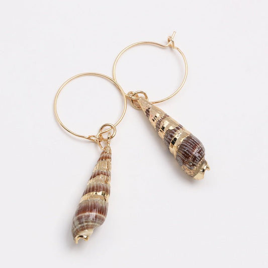 Fashion shell earrings geometric Haiyang wind earrings fashion popular shell earrings-Jewearrings