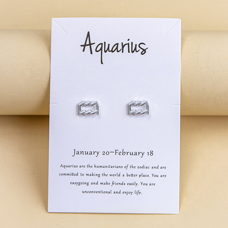 Twelve Constellation Earrings Gold And Silver 12 Zodiac-Jewearrings