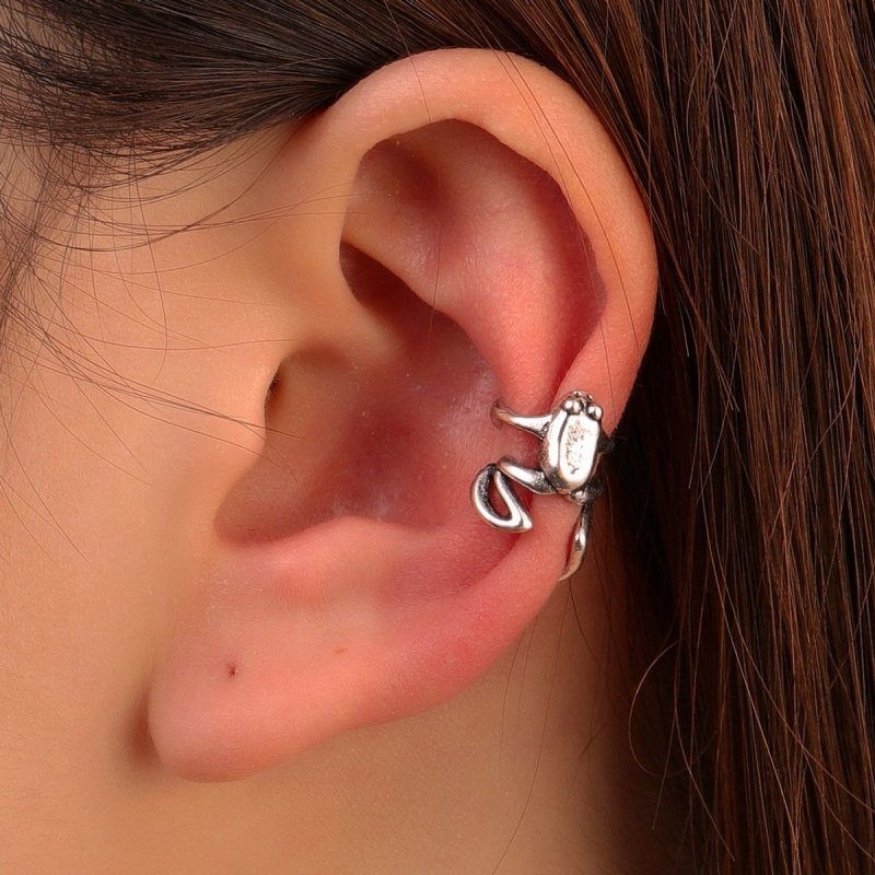 Frog Earrings Diamond Alloy Dangles-Jewearrings