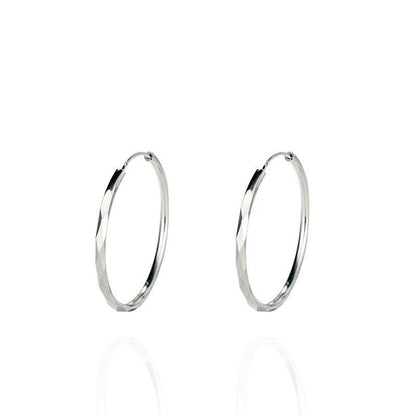 Hypoallergenic Earrings - Large Hoop Earrings-Jewearrings