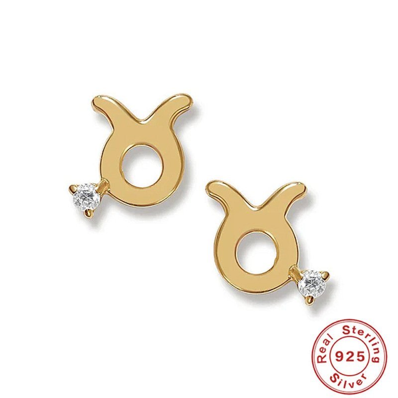 Ins Style Mini Glossy Twelve Constellation S925 Sterling Silver Personality Diamond Constellation Ear Studs Earrings-Jewearrings