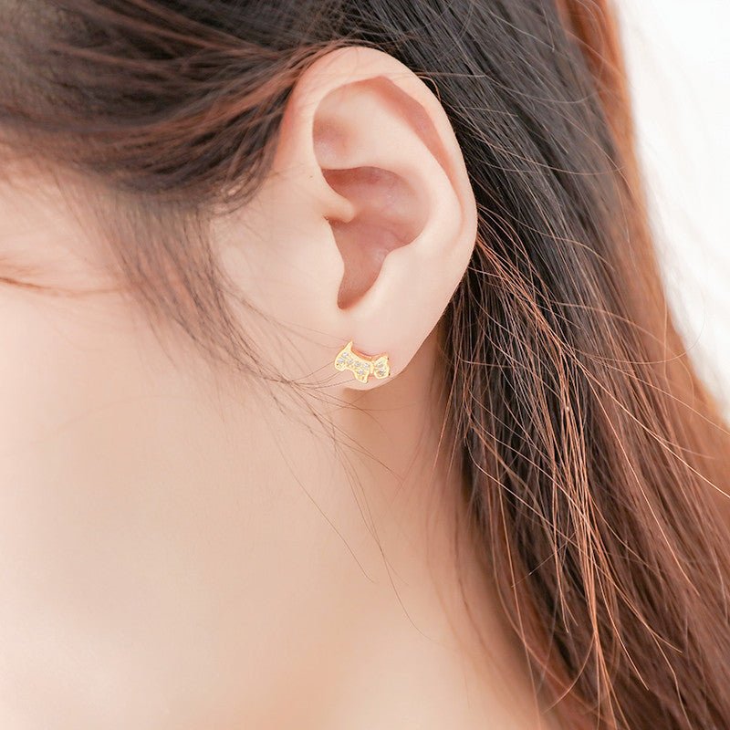 Japanese And Korean Fashion Full Zirconia Diamond Stud Earrings-Jewearrings