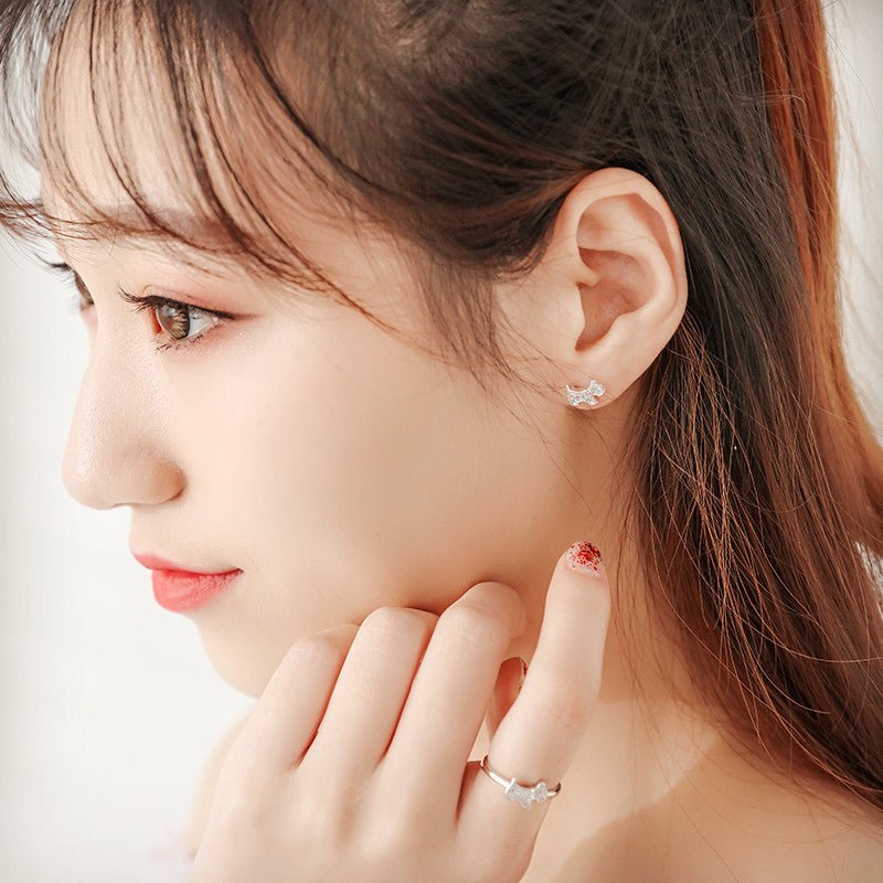 Japanese And Korean Fashion Full Zirconia Diamond Stud Earrings-Jewearrings