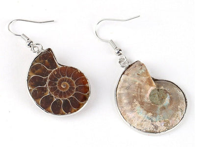 Natural Snail Ammonite Spiral Shell Fossil Earrings-Jewearrings