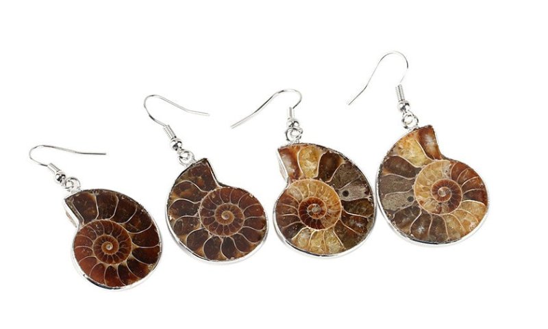 Natural Snail Ammonite Spiral Shell Fossil Earrings-Jewearrings