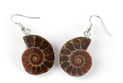 Natural Snail Ammonite Spiral Shell Fossil Earrings-Jewearrings