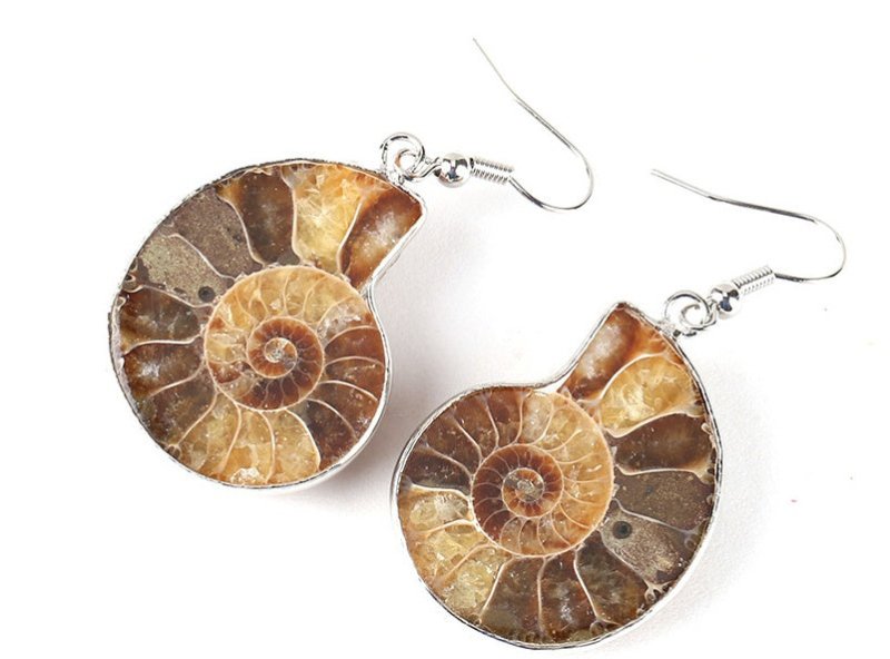 Natural Snail Ammonite Spiral Shell Fossil Earrings-Jewearrings