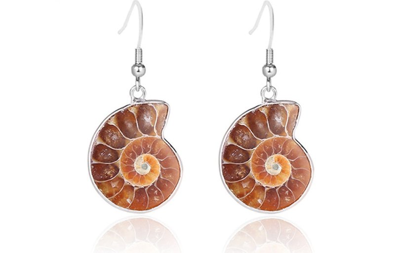 Natural Snail Ammonite Spiral Shell Fossil Earrings-Jewearrings