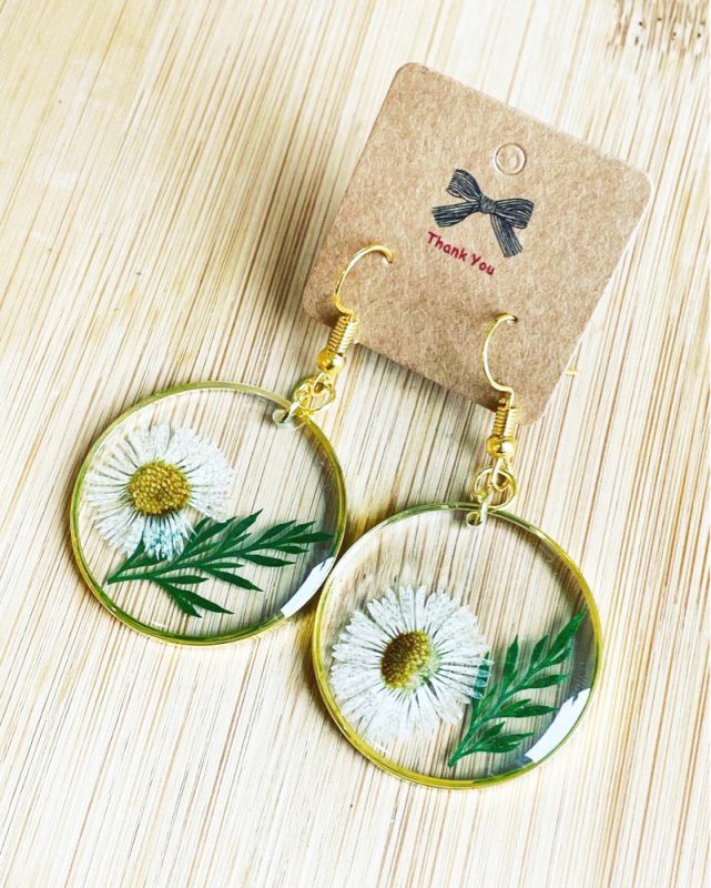 New Dry Flower Transparent Acrylic Geometric Resin Earrings-Jewearrings