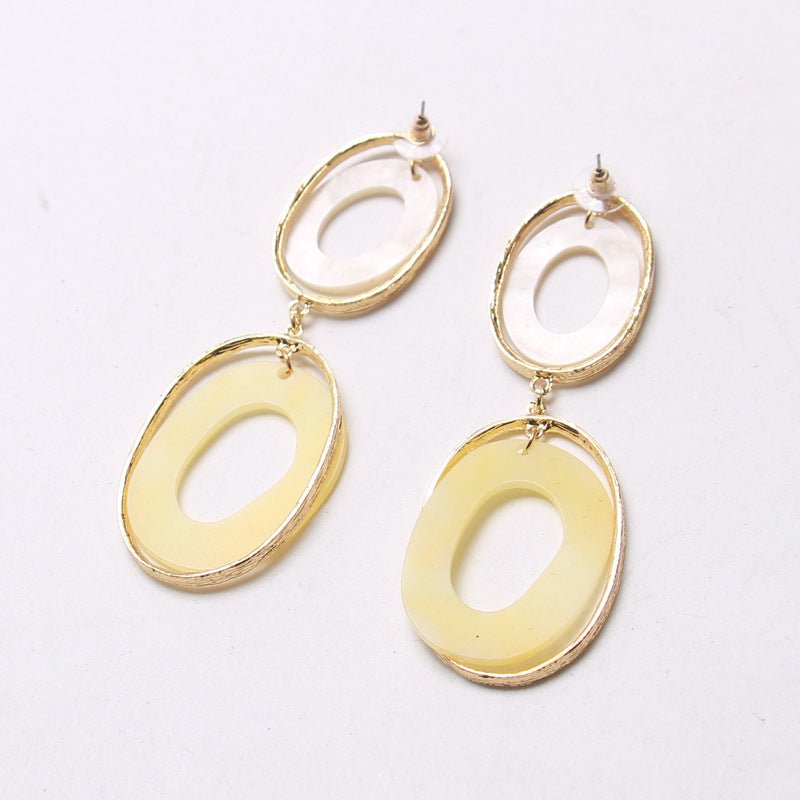 New Fashion Style Big Brand Long Acrylic Plate Earrings Ins Wild Earrings Women-Jewearrings