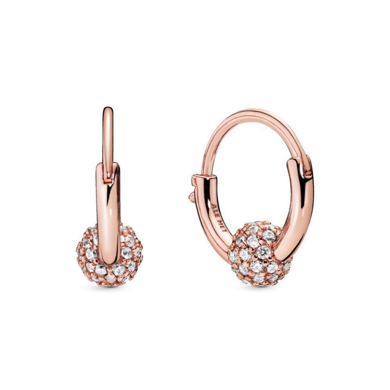 S925 Silver Full Diamond Fan Heart-shaped Rose Gold Crown Earrings-Jewearrings