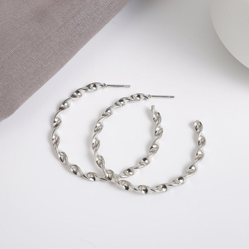 Simple Geometric Exaggerated Big Circle Earrings-Jewearrings