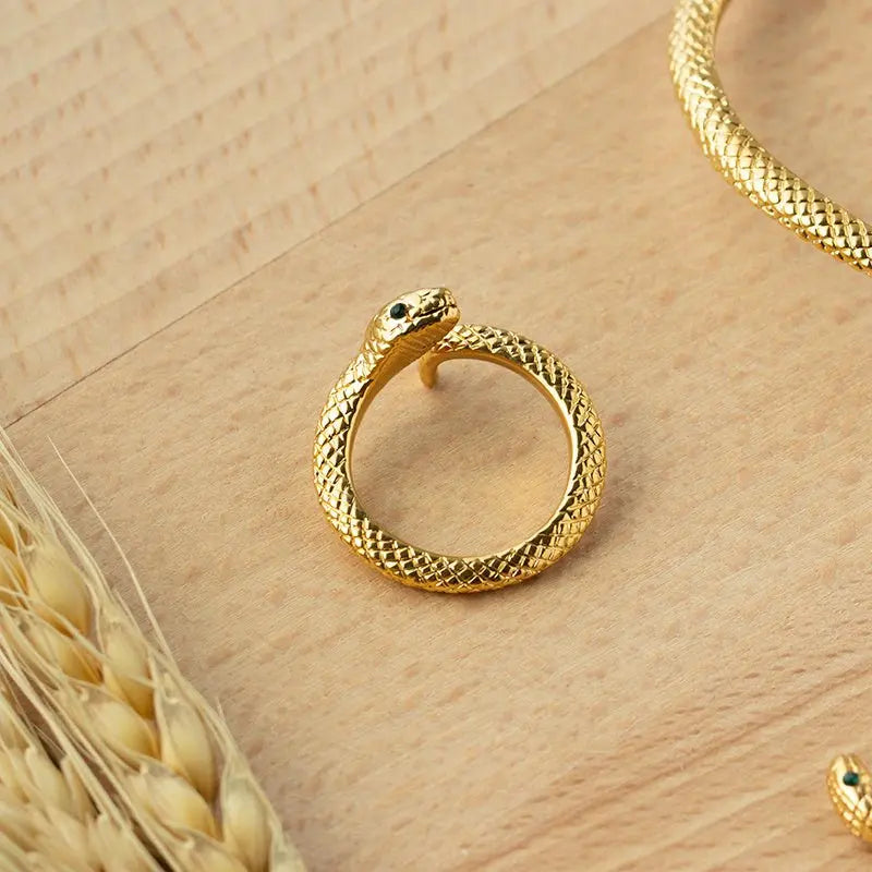 Snake Earrings Bracelet Ring Set-Jewearrings