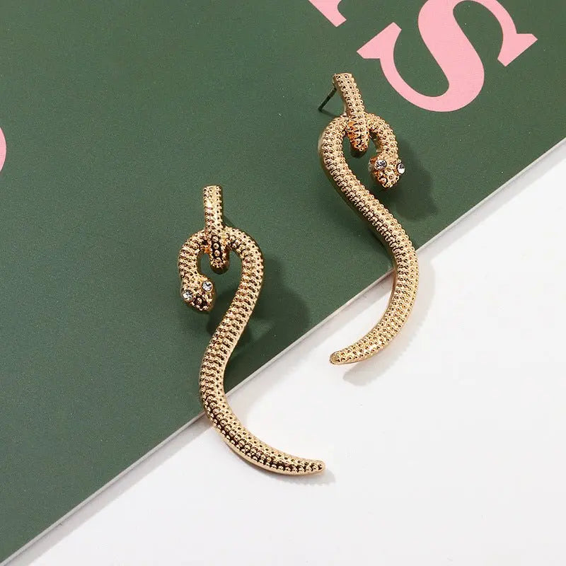 Snake Earrings Personalized Design Trendy Metal-Jewearrings