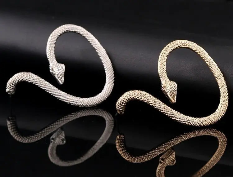 Snake Earrings Personalized Fashion Studs-Jewearrings