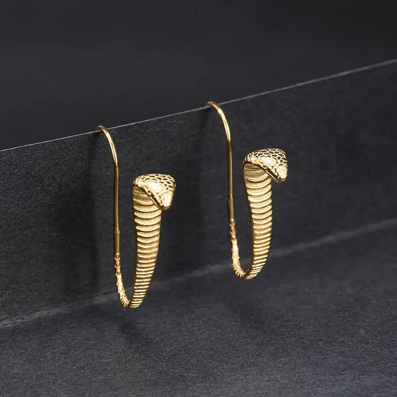 Snake Earrings Silver - Shop Women's Fashion-Jewearrings