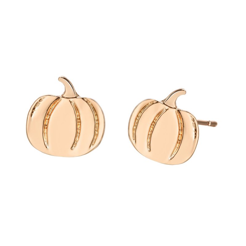 Stainless Steel Jewelry Earrings Female Pumpkin Earrings-Jewearrings