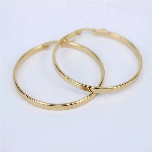 Titanium Earrings Exaggerated Hoop Earrings-Jewearrings