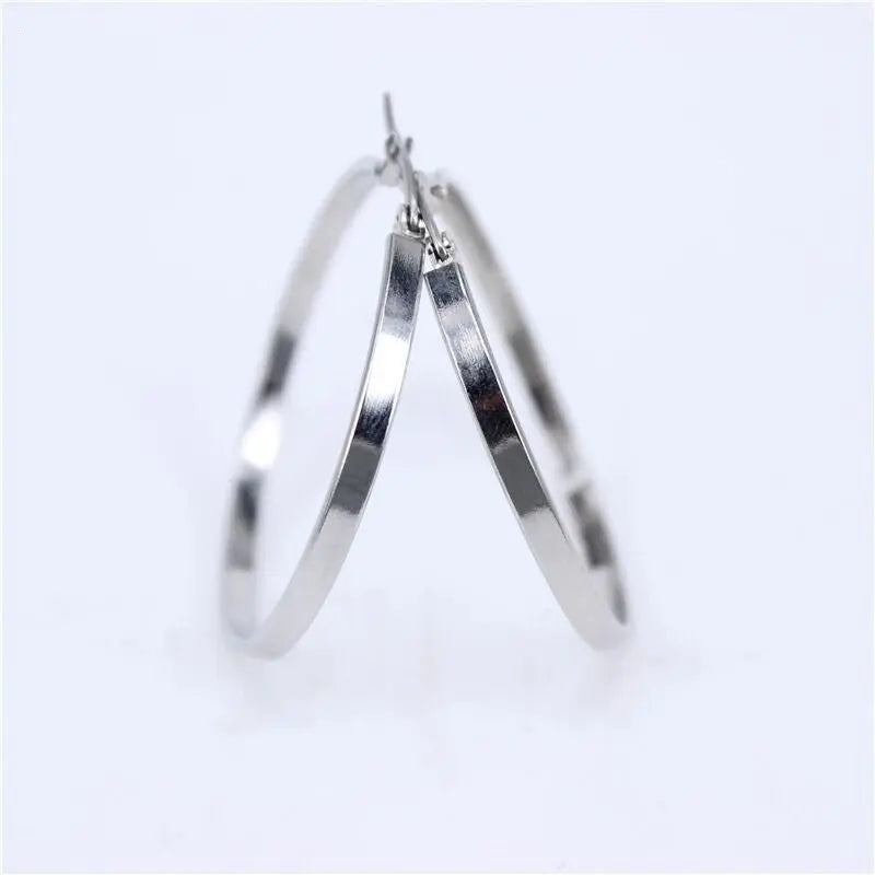 Titanium Earrings Exaggerated Hoop Earrings-Jewearrings