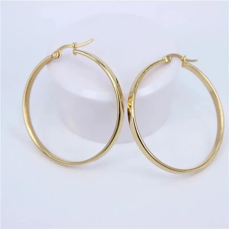 Titanium Earrings Exaggerated Hoop Earrings-Jewearrings