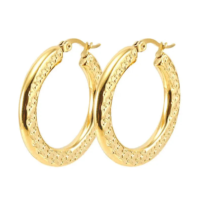 Titanium Earrings Fashion 18K Gold-Jewearrings