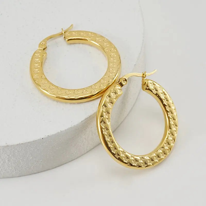 Titanium Earrings Fashion 18K Gold-Jewearrings