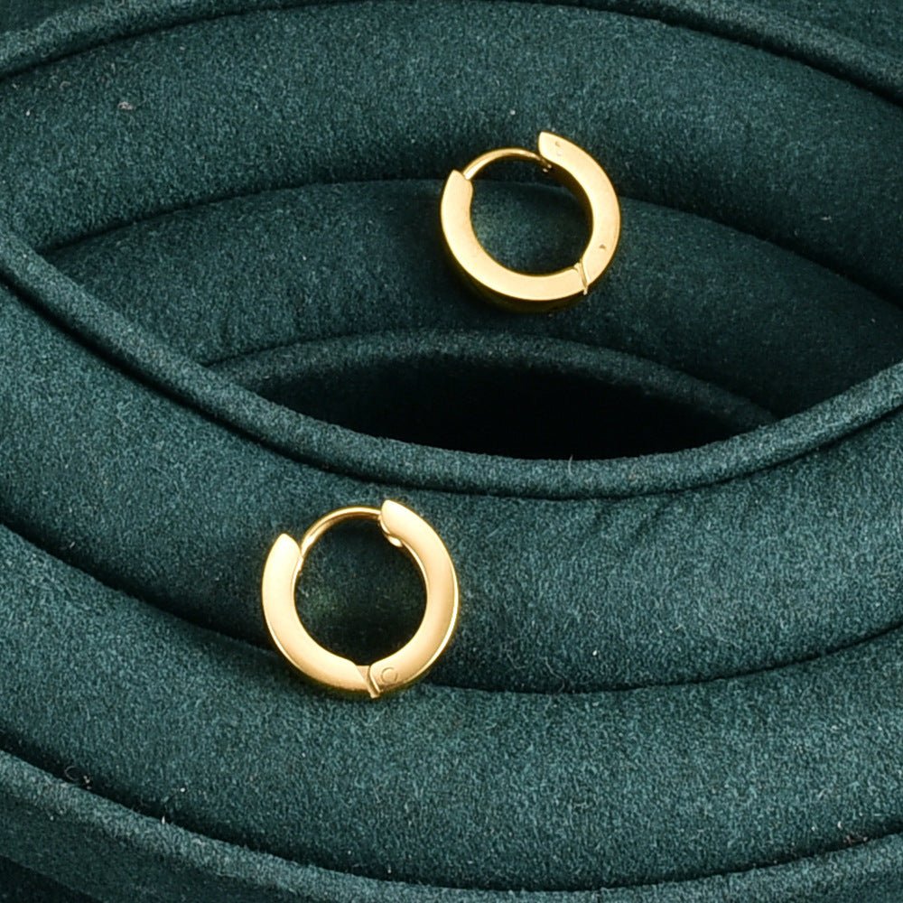 Titanium Earrings Gold Plated-Jewearrings