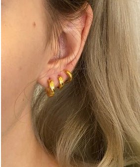 Titanium Earrings Gold Plated-Jewearrings