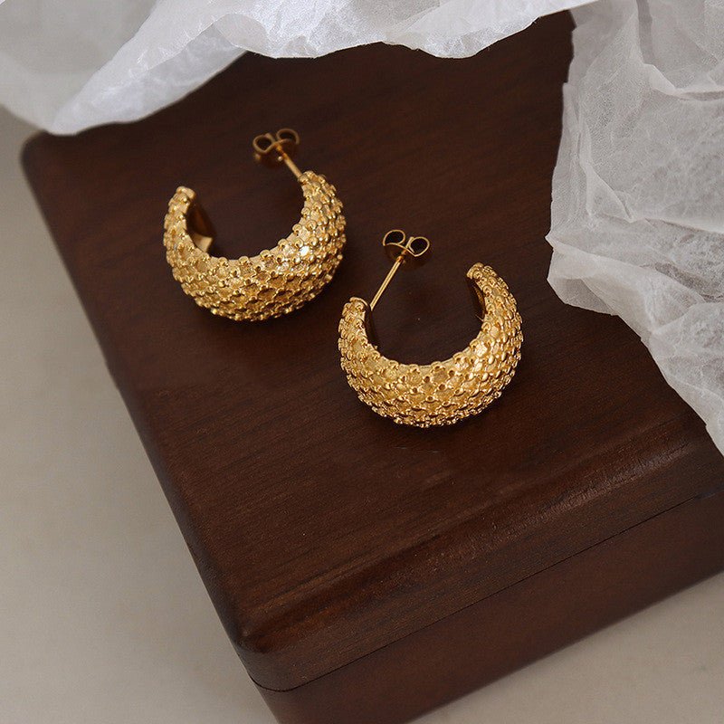 Titanium Earrings Gold Plated Punk Earrings-Jewearrings