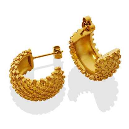 Titanium Earrings Gold Plated Punk Earrings-Jewearrings