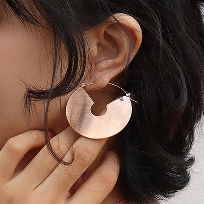 Titanium Earrings Ins Brushed Exaggerated-Jewearrings