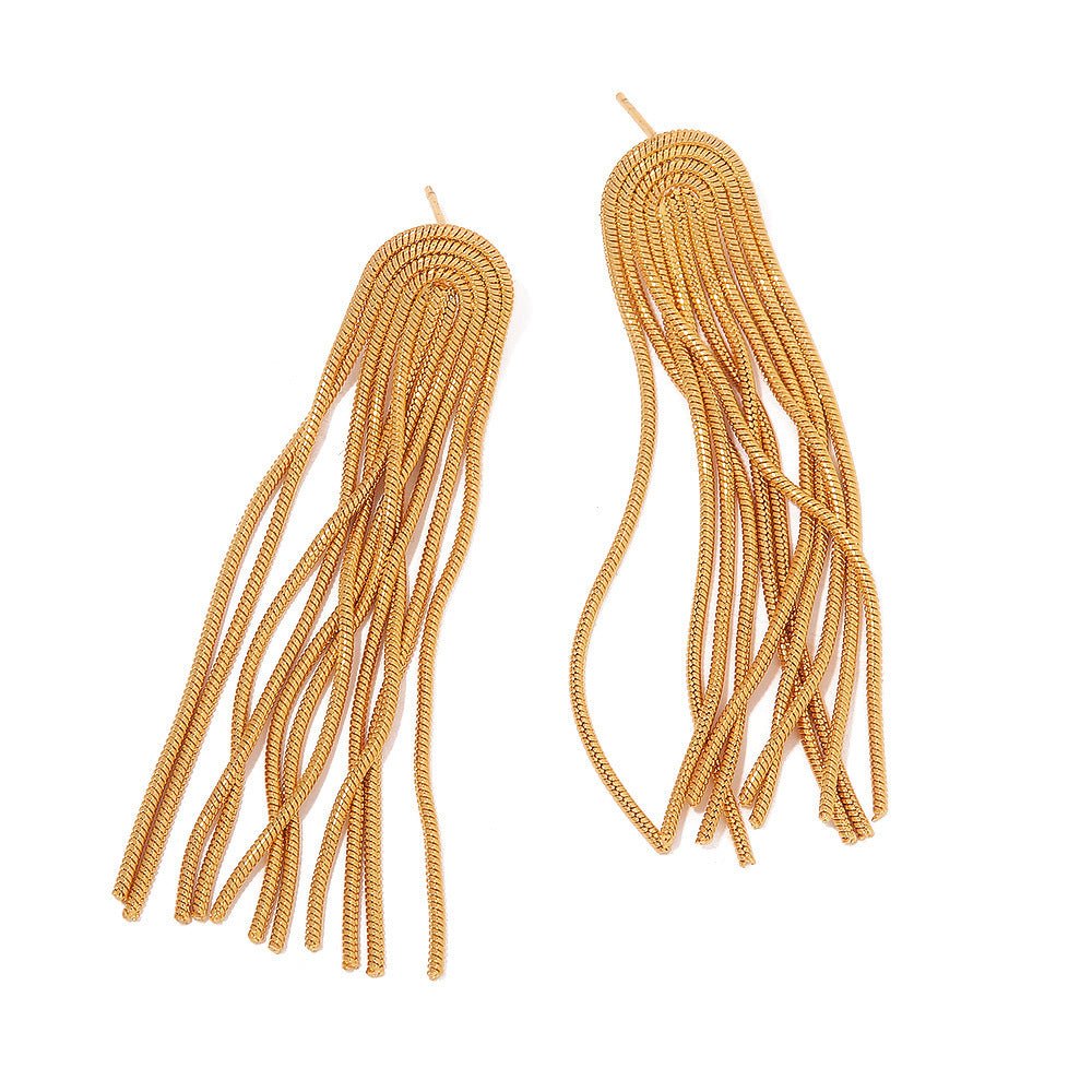 Titanium Earrings Long Tassel Fashion-Jewearrings