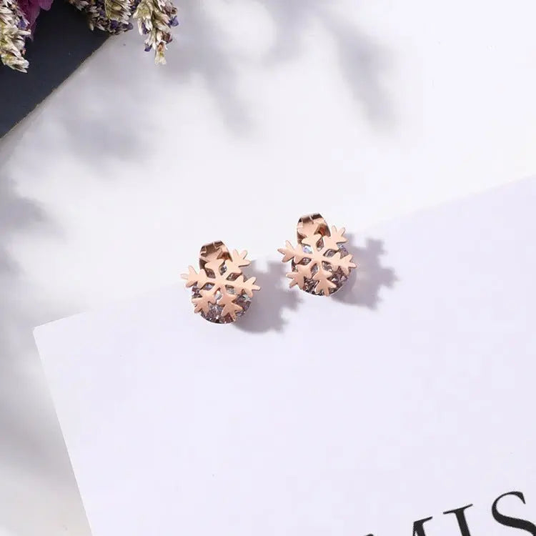 Titanium Earrings Petite Zircon Studs-Jewearrings