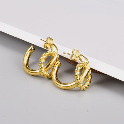 Titanium Earrings - Twist Double Wire-Jewearrings