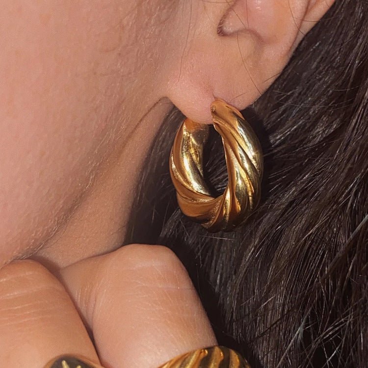 Titanium Earrings Twisted Round-Jewearrings