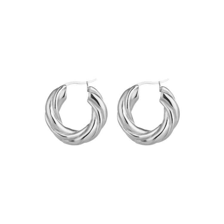 Titanium Earrings Twisted Round-Jewearrings