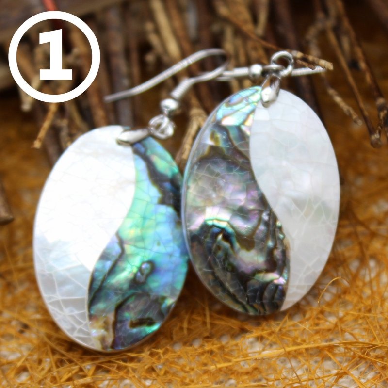 Vacation Style Shell Drop Shape Abalone Shell White Shell Splicing Earrings-Jewearrings